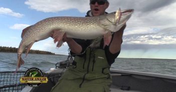 Giant Northern Pike Fishing in Manitoba – Manitoba Master Angler Minute Giant Northern Pike Fishing in Manitoba – Manitoba Master Angler Minute