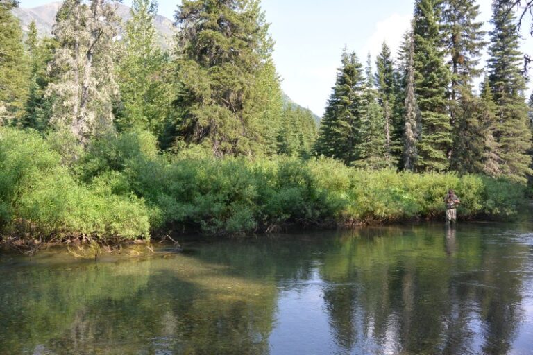 The beautiful Castle river produces