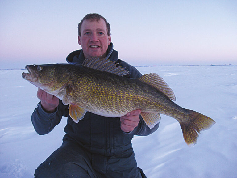 Catch & Release Karma