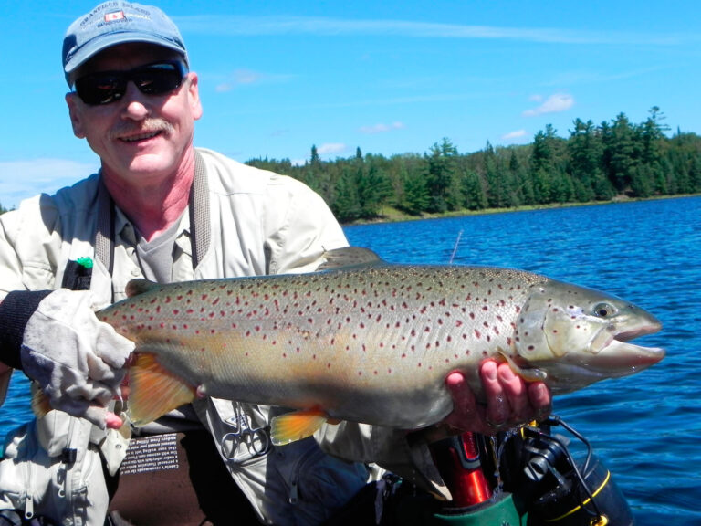 McHugh Monster Browns!