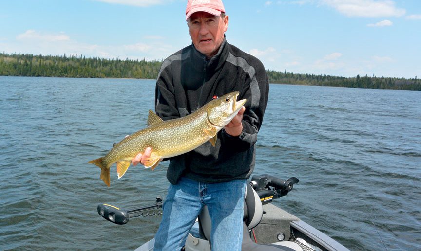Big-Vermillion-lake-trout
