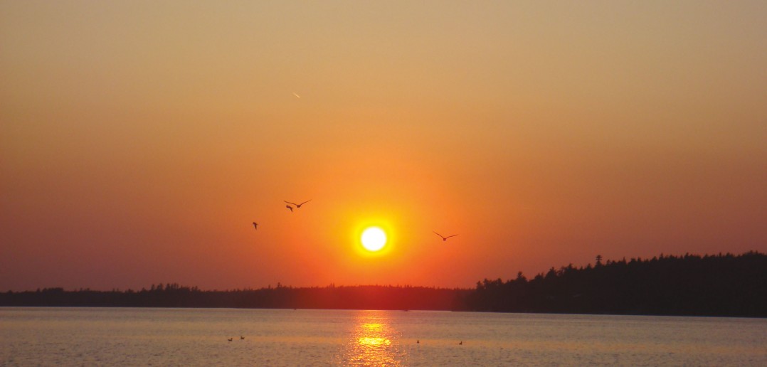 DSC02020
