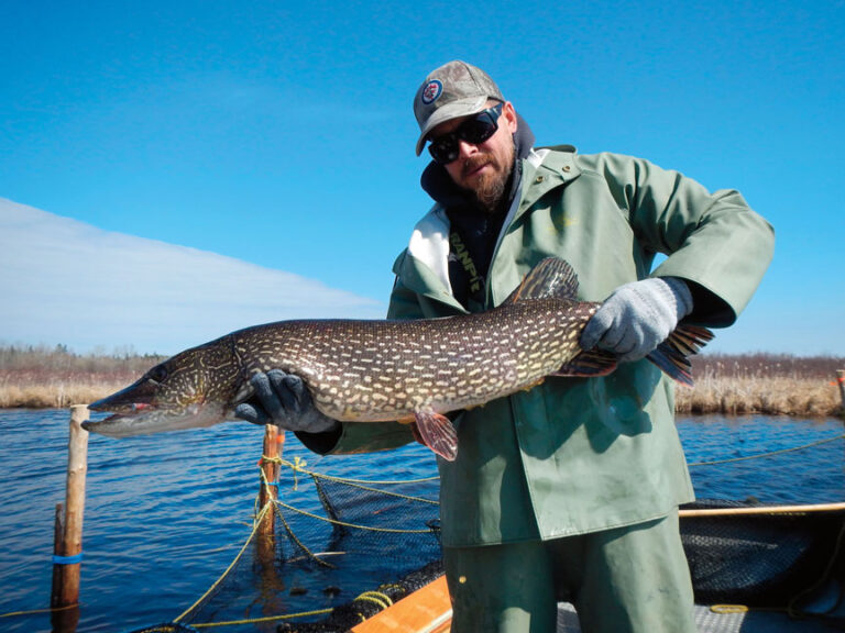 5 Ways How NOT to Kill Your Catch & Release