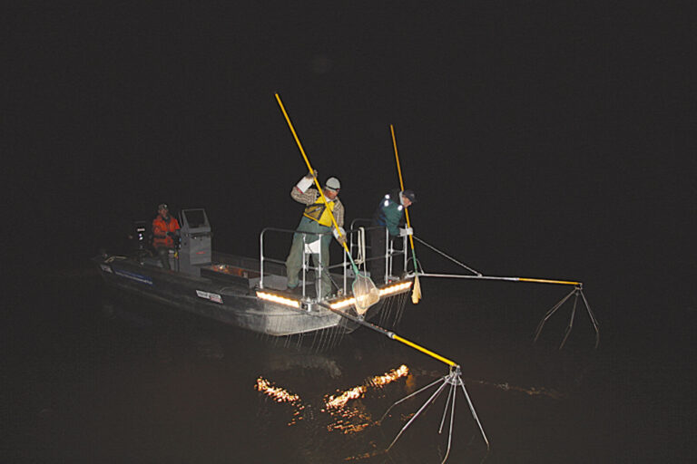 SILVER AND THE ART OF LAKE SURVEYS