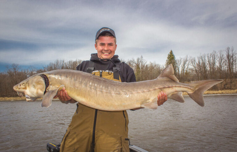 Rainy River Dinosaur