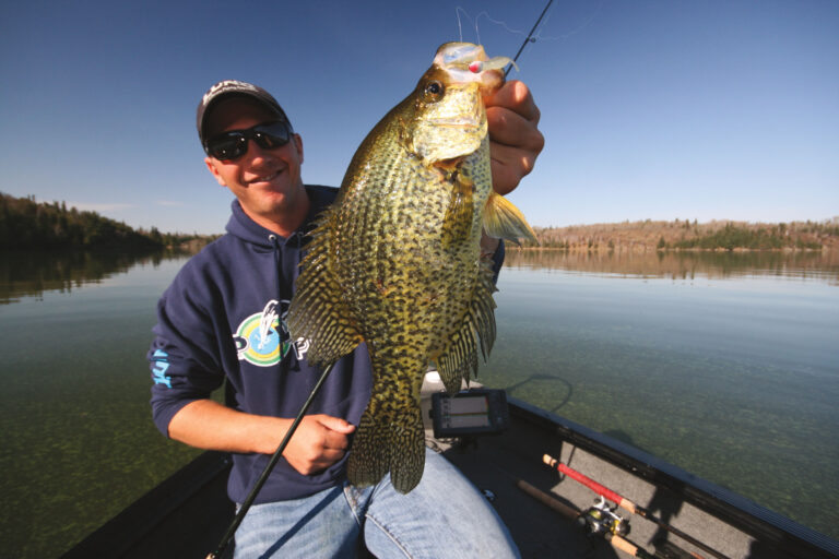 Fall Flavors – Multi-species Options Abound