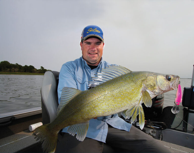 Walleyes in Formation