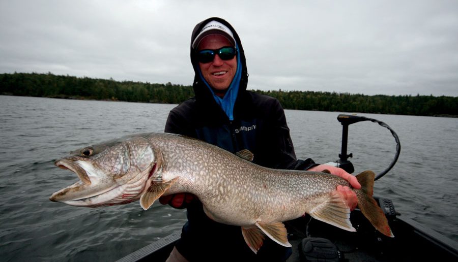 Lake Trout #6