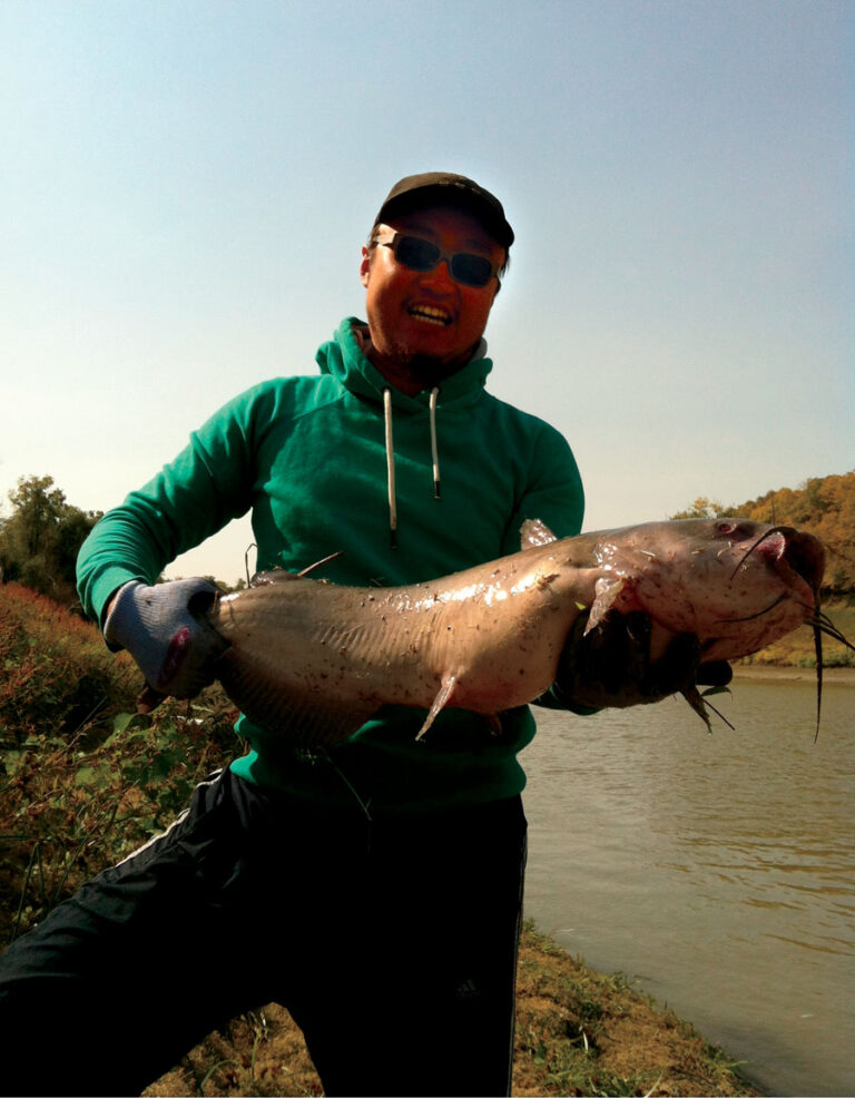 Fall Catfishing From Shore