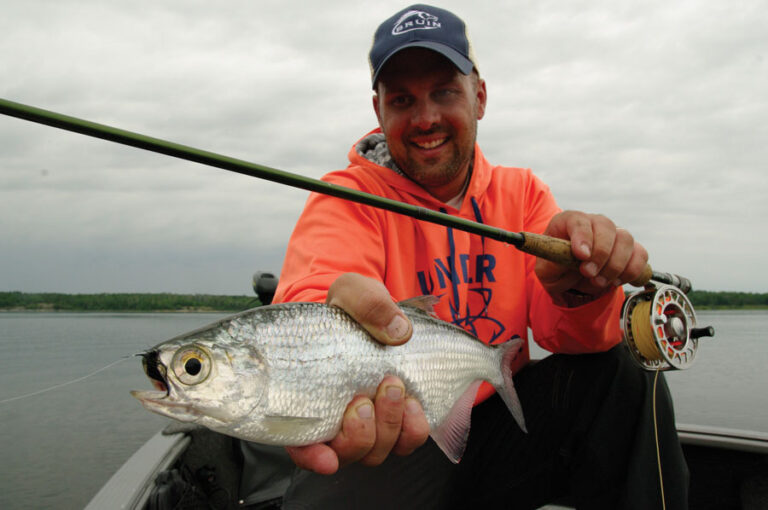 Mooneyes on the Fly! A time-honoured tradition