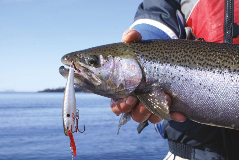 TROUT CRAZY! Boat Fishing For Superior Steelies