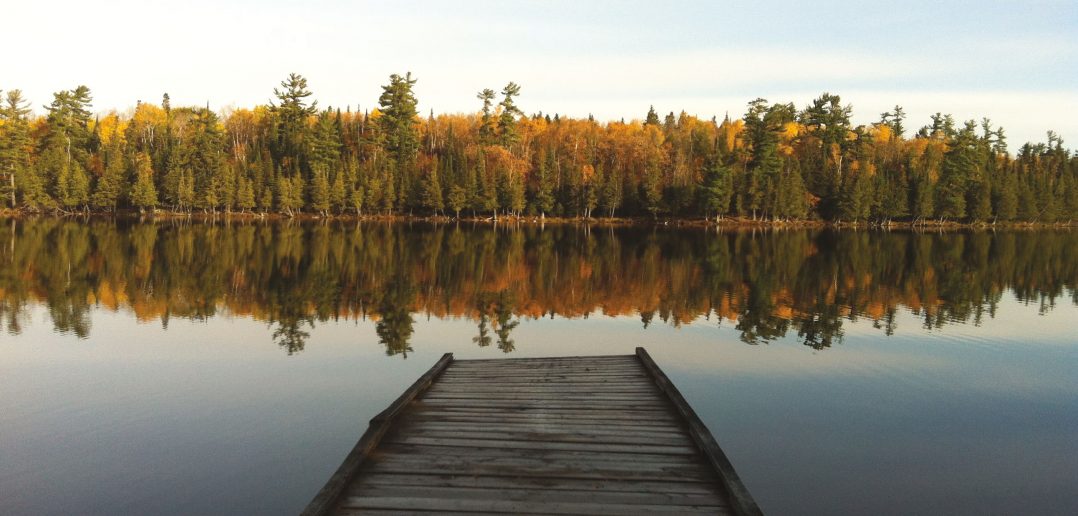 the dock