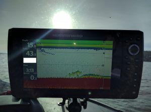walleye-in-traverse-bay