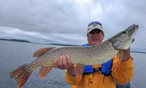 img_20160710_094612