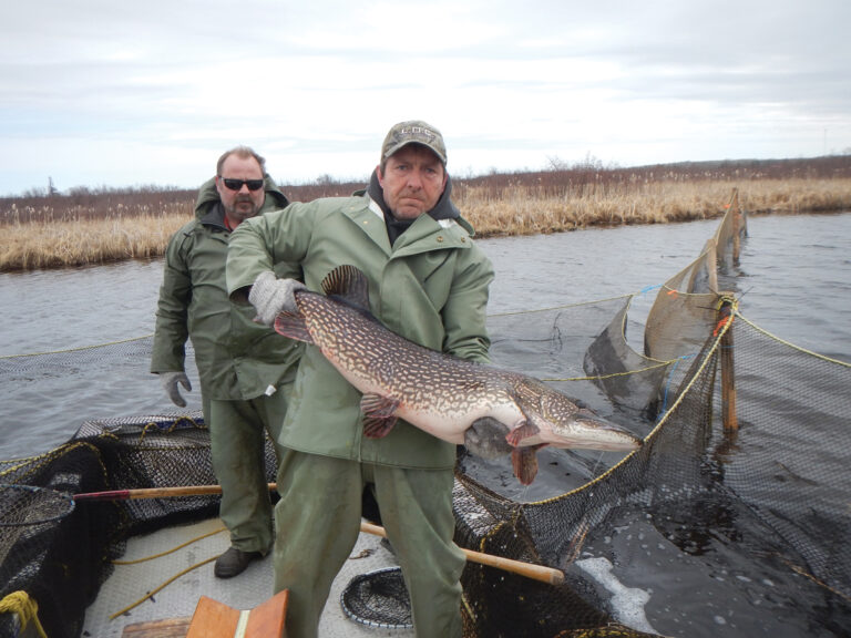 The History of the Whiteshell Fish Hatchery Part 2—Stayin’ Alive