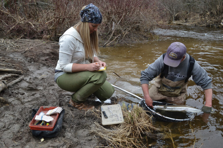 Two Decades of Steelhead Research