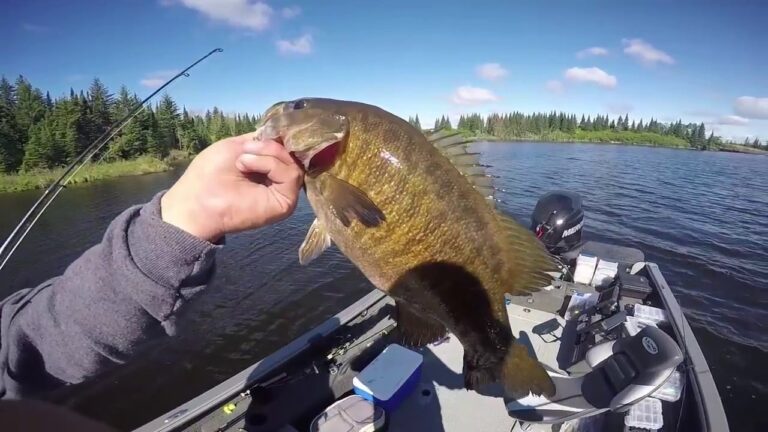 Video: Pounding Shoreline for Endless Smallmouth Bass