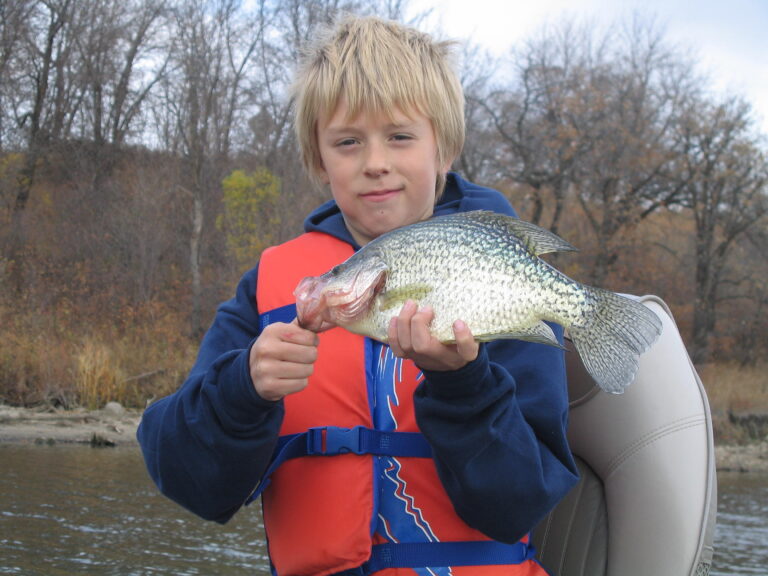BLACK CRAPPIE ON THE RADAR