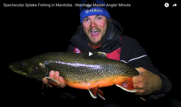 Spectacular Splake Fishing in Manitoba
