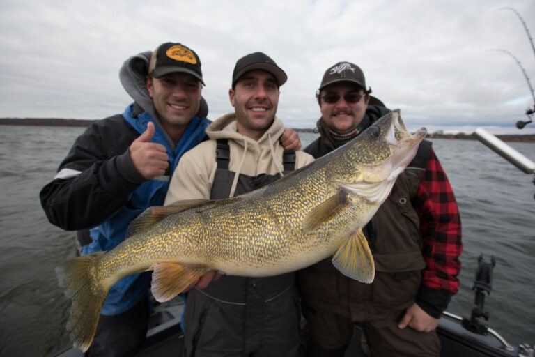 Bay of Quinte Walleye