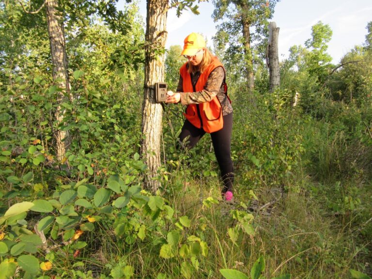The Challenge of the White Tail