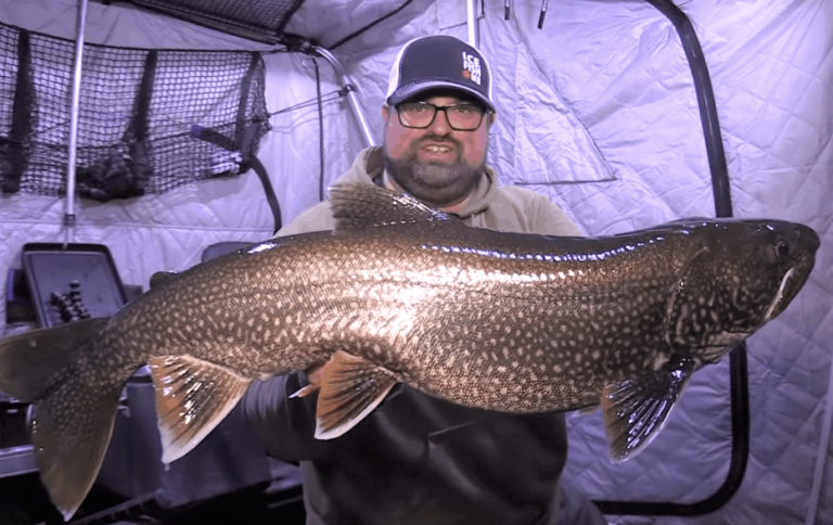 VIDEO: Crazy Aggressive Lake Trout!