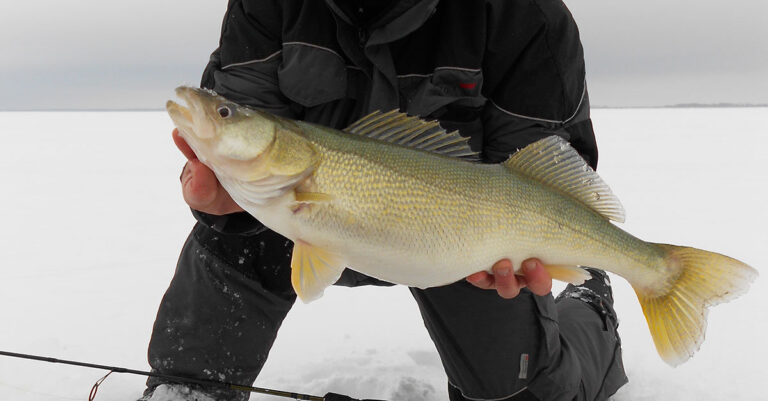 STAKEHOLDERS APPLAUD GOVERNMENT EFFORTS ON LAKE WINNIPEG