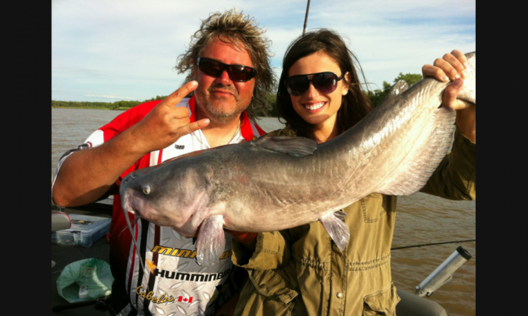 Top 10 Tips for Monster Channel Cats