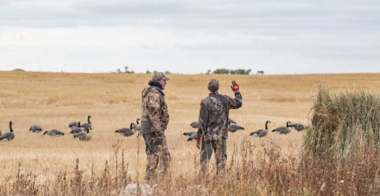 Ducks, geese and more geese!