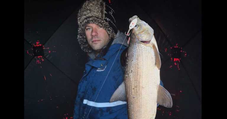 Early Season Jumbo Whitefish