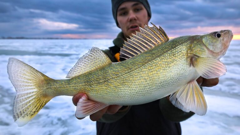 Video—Early Ice Lake Manitoba Walleye
