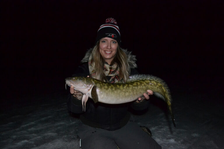 Burbot, the fish with many names!