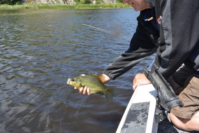 Don’t Forget About Summertime Crappie!