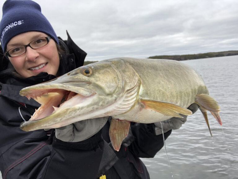 Social Media and the Fishing Game