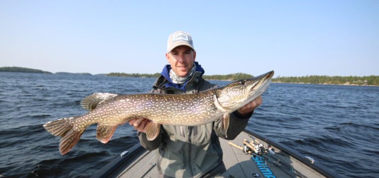 Don’t Overlook Fall Pike!