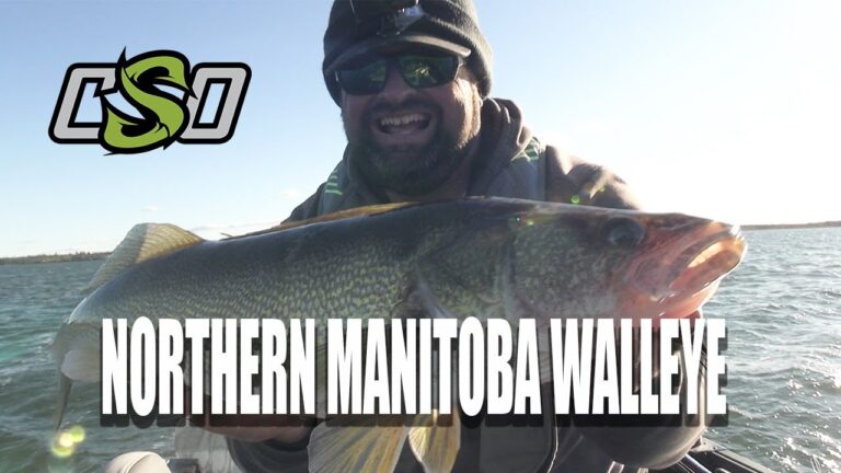 Northern Manitoba Walleye