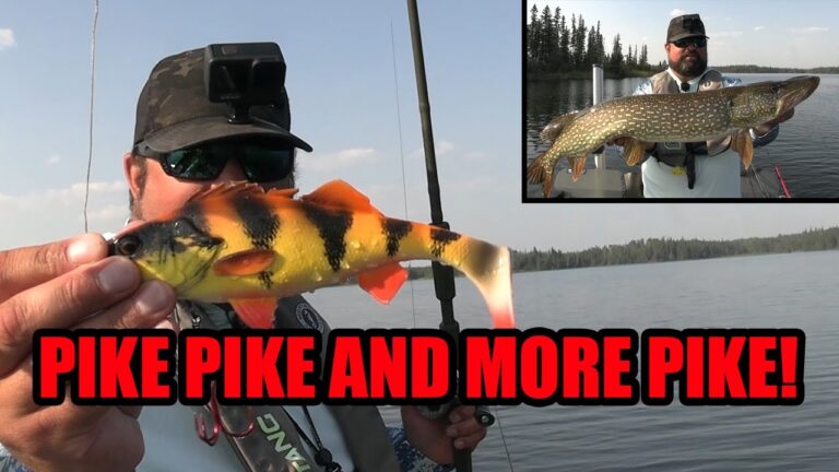 Hooked Fishing Report for September 17, 2021