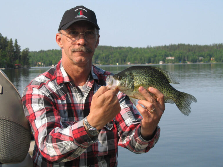 Research on Manitoba Crappies Part Two