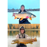 The Complete Angler
