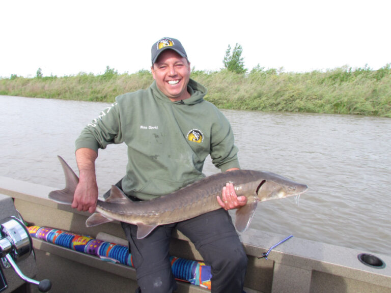 The Flowing Treasures of Alberta