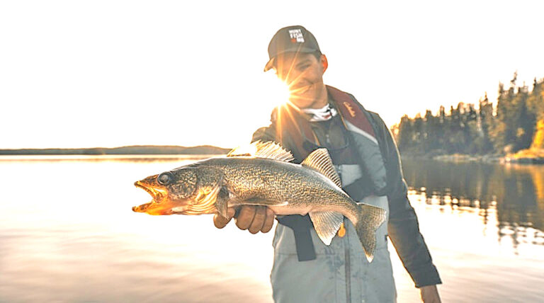 Head North for Fantastic Fall Walleye Fishing – Paint Lake Lodge
