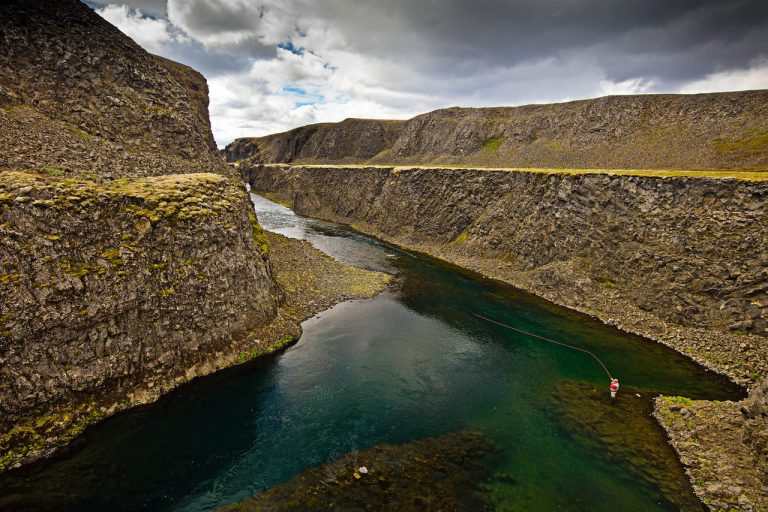 Wild Iceland