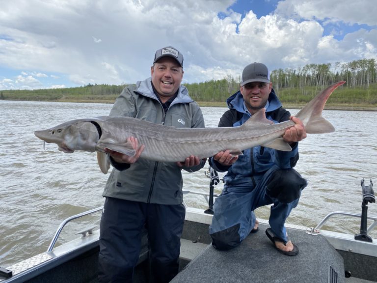 The Mighty Sturgeon of the Saskatchewan River!
