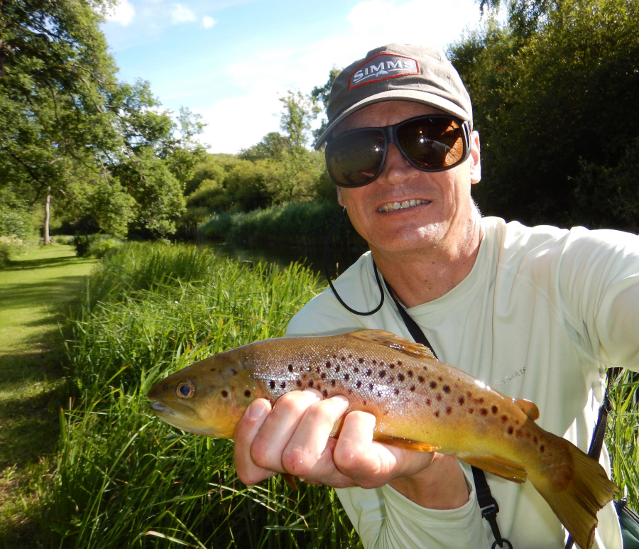 River Test brown trout