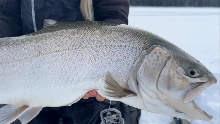 Hooked Fishing Report for Saturday, February 15th, 2025