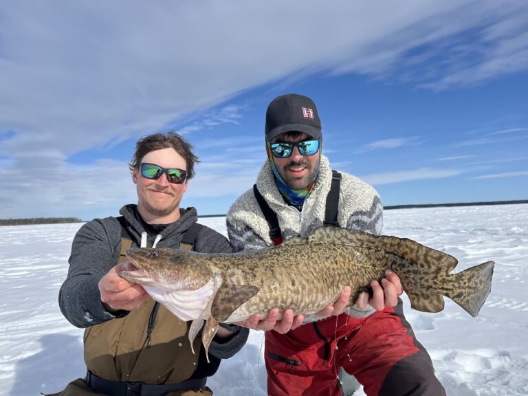 Understanding the Mighty Burbot-Part One