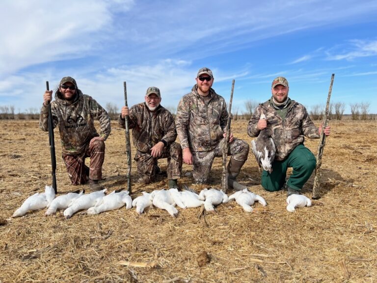 Spring Waterfowl and Bear in Saskatchewan