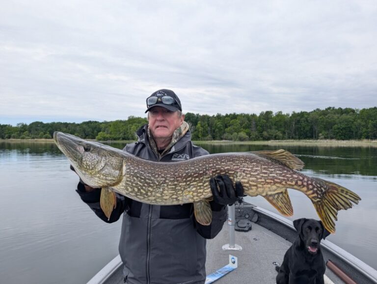 Hooked Fishing Report for Friday, June 19th, 2026