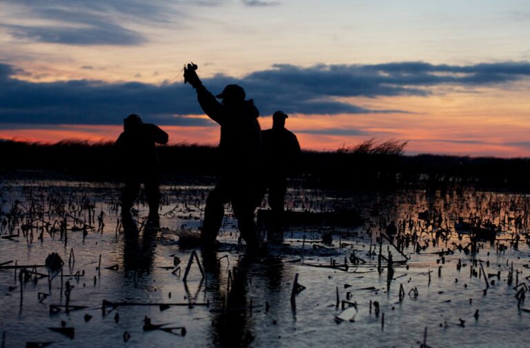 A Waterfowl Paradise!